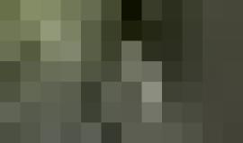 في عالم الحيوان البقاء دوماً للأقوى.. نمر "الجاكوار" يصطاد تمساحاً استوائياً ويجره إلى اليابسة بطريقة احترافية، في شمال بانتانال بالبرازيل 

الفيديو: Bertie Gregory