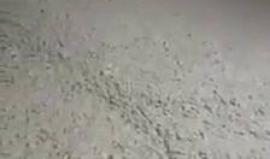 #فيديو جيش الاحتلال يغلق منزل عائلة الأسير يوسف أبو زينة بـ "الباطون" في بلدة قباطية جنوب جنين