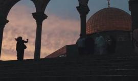 #كليب - يا بطل 
أداء: أمير دندن