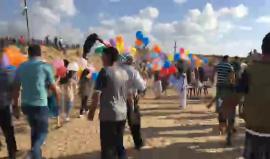 #مباشر 

أطفال المحافظة الوسطى بقطاع غزة يطلقون بالونات تحمل صور شهداء وأسرى قلسطينيين 

بث مراسلنا أحمد المقادمة