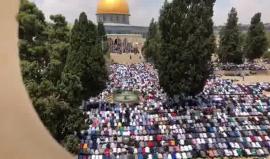 #شاهد صلاة الجمعة من باحات المسجد الأقصى المبارك