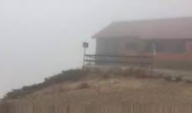 شاهد - الأمطار تتساقط على جبل الشيخ شمال فلسطين المحتلة