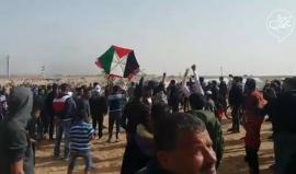 #فيديو اطلاق طائرة ورقية تحمل علم فلسطين خلال فعاليات #جمعة_العلم شرق رفح جنوب قطاع غزة

تصوير: ابراهيم معراج