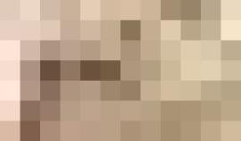 تلجأ الفيلة في محمية "ريتيتي" الكينية إلى عمل حمام طيني للتخفيف من درجات الحرارة ومنحهم الرطوبة اللازمة وحماية أجسامهم من الحشرات

الفيديو: Ami Vitale