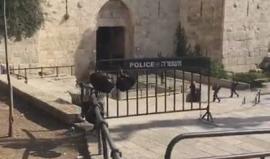 قوات الاحتلال تطلق النار على فتاة فلسطينية أمام باب العامود بالقدس قبل قليل