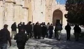 منذ الصباح و حتى اللحظة (٤١) مستوطن اقتحموا باحات المسجد الأقصى