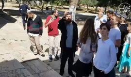 #فيديو 65 مستوطنا يقتحمون باحات المسجد الأقصى المبارك بحماية أمنية مشددة