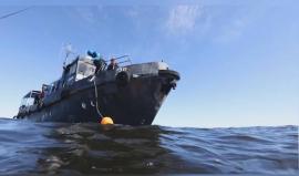 #شاهد العثور على غواصات سوفيتية في خليج فنلندا