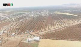 تعرف على معاناة مخيّم " يازي باغ " أو الزيتون كما أطلق عليه النازحيين في ريف حلب الشمالي؟