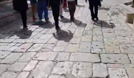 #شاهد
اقتحام ٨١ مستوطن للمسجد #الأقصى المبارك اليوم.