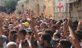 #شاهد | هكذا دخل الفلسطينيون المسجد الأقصى بالآلاف مرددين تكبيرات العيد. 
#القدس_تنتصر