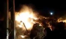 #شاهد : حريق في أحد الأحراش بمستوطنة عين يبرود نتيجة القاء زجاجتين حارقتين من قبل فلسطينين من سلواد