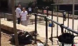 #عاجل| المشاهد الأولية.. قوات الاحتلال تطلق النار على شاب في باب العامود بالقدس المحتلة قبل قليل