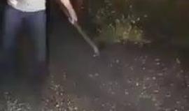 #شاهد شرطة الاحتلال تعتقل مختلا عقليا حاول مهاجمة أفرادها بفأس 

فيديو متداول