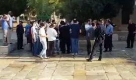 #شاهد مستوطنون يقتحمون الأقصى بحماية أمنية