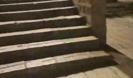 #مباشر جولة مسائية في باحات المسجد الاقصى المبارك.