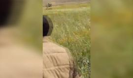 #شاهد لحظة إطلاق قوات الاحتلال لنار على فتاة رفعت العلم الفلسطيني شرق خانيونس جنوب قطاع غزة، خلال مشاركتها في #مسيرة_العودة_الكبرى 
تصوير محمود قديح