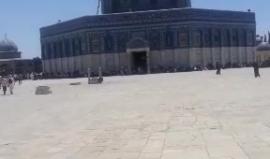 #مباشر .. خطبة وصـلاة الجمعة من المسجد الأقصـى المبارك .