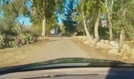 جولة في قرية بدرس غرب رام الله/ قطف الزيتون 

مشاركة: محمد عبد الكريم