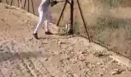 #فيديو شبان يقتحمون مستوطنة "جبل أبو غنيم" في القدس ويشرعون في عملية اتلاف للمعدات الاسرائيلية