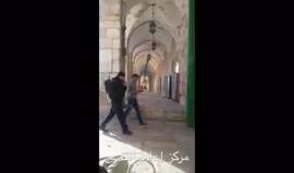 شاهد: قوات الاحتلال تعتقل شابا من باحات المسجد الأقصى قبل قليل.