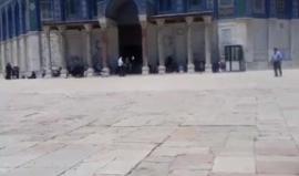 #مباشر  #شاهد .. خطبة وصلاة الجمعة من المسجد الاقصى المبارك بالعاصمة الفلسطينية المحتلة .