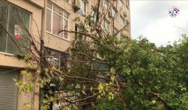 عاصفة مفاجئة اجتاحت مدينة اسطنبول، وحملت أمطاراً وبرَداً بأحجام كبيرة، ما أدّى لاقتلاع الأشجار وتوقّف حركة السير والمطار.
(التلفزيون العربي)