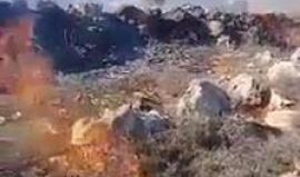 #شاهد مستوطنون يشعلون النار في حقول الزيتون في قصرة جنوب نابلس قبل قليل
