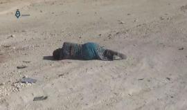 #شاهد .. استشهاد 4 أشخاص بينهم سيدة نتيجة استهدافهم بصاروخ من طائرة استطلاع روسية في كفر بسين بريف #حلب .