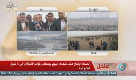 #مباشر #عاجل رئيس المكتب السياسي لحركة حماس اسماعيل هنية يشارك المتظاهرين شرق رفح جنوب القطاع