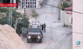 #شاهد قوات الاحتلال تعتقل المعلمة "سوزان العويوي" عضو مجلس بلدي الخليل من منزلها