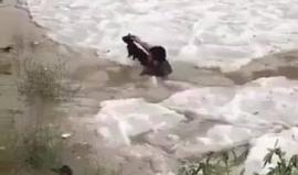 #فيديو شاب سعودي ينقذ قطة من وسط الثلوج التي سقطت على مدينة "خميس مشيط"