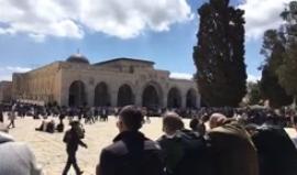 #مباشر خطبة الجمعة بالمسجد الاقصى المبارك