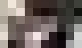 #فيديو مستوطنون يقتحمون باحات المسجد الأقصى المبارك