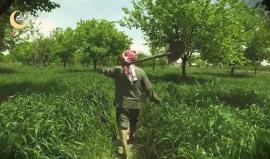 كليب: #رمضان كرم وتراحم - مؤسسة عدالة