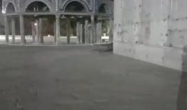 #مباشر جولة مسائية في المسجد الاقصى المبارك