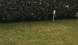 #فيديو تساقط الثلوج في اسطنبول صباح اليوم