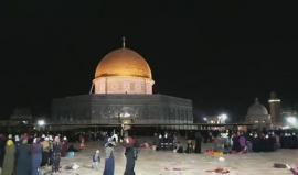 #شاهد من عاصمة فلسطين | ساحات الأقصى المبارك خلال صلاة التراويح هذه الليلة . 
تصوير رضوان عمرو