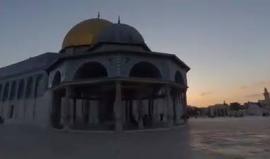 #شاهد
جولة في باحات المسجد �#�الاقصى� .
تصوير مصطفى الخاروف