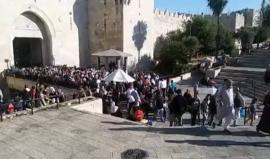 #شاهد عشرات الآلاف يتدفقون منذ الصباح نحو المسجد الأقصى المبارك لإحياء ليلة الـ 27 من رمضان، وقوات الاحتلال تغلق باب العامود هذه الاثناء .
