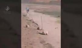 #شاهد
#ما_التقطته_الكاميرات: المرصد #الأورومتوسطي يوثق حادثة قنص وإعدام الجيش الإسرائيلي لـ "عبد الفتاح عبد النبي"، 18 عام، شمالي قطاع #غزة