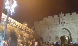 #شاهد هتافات المصلين بعد مهاجمتهم من قوات الاحتلال في باب الأسباط بالقدس المحتلة
تصوير محمد الأطرش