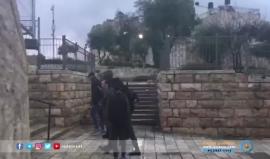 #شاهد قوات الاحتلال تعتقل أحد الشبان في منطقة باب العامود بالقدس المحتلة قبل قليل.