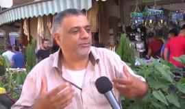 ‫تقرير- عمال الزراعة.. ظروف عمل شاقة وأجور زهيدة - رمزي أبو جزر