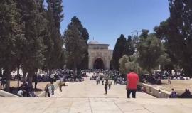 #شاهد | خطبة وصلاة الجمعة من المسجد الأقصى المبارك - فلسطين .