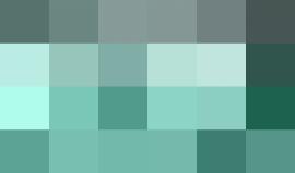 #شاهد ماذا فعل إعصار فلورنس في مراسل إحدى القنوات الأمريكية؟