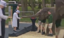 #شاهد فيل يأكل موز من يد ملكة بريطانيا إليزابيث الثانية وزوجها الأمير فيليب