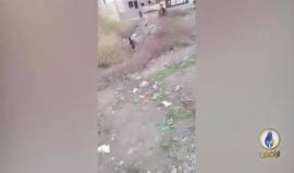 ننصح عدم متابعة الأطفال " 18+ " 
#شاهد .. جنود عراقيون يعذبون 3 شبان ويسبون الذات الإلهية قبل إعدامهم في منطقة سومر بالموصل بتهمة انتمائهم إلى تنظيم الدولة " داعش" .