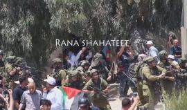 #شاهد| قوات الاحتلال تقمع مظاهرة رافضة لإقامة برج عسكري في بلدة خرسا بمدينة دورا جنوب الخليل.
تصوير:رنا شحاتيت