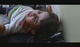 #أستانة : حين يصبح الجلاد حكما
(الهيئة السورية)